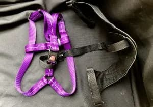 A purple hip dysplasia support harness